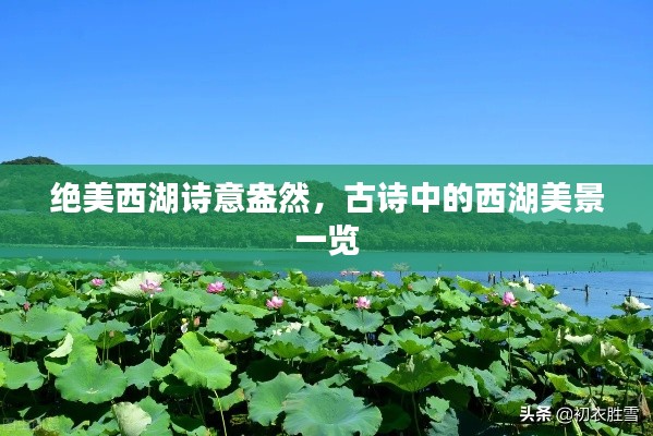 绝美西湖诗意盎然，古诗中的西湖美景一览