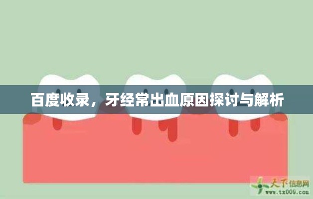 百度收录，牙经常出血原因探讨与解析