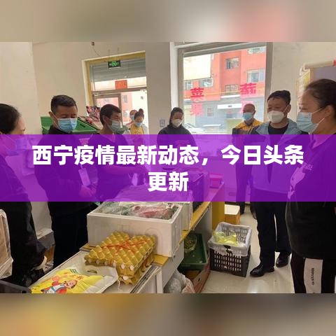 西宁疫情最新动态，今日头条更新