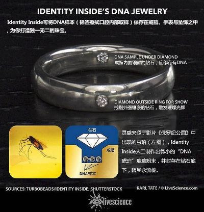 90版本首饰与waterlogue官方下载，深入解析数据设计尊贵款v5.760深度评测