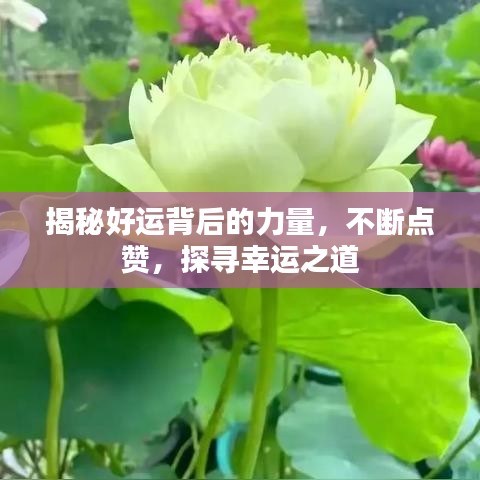 揭秘好运背后的力量，不断点赞，探寻幸运之道