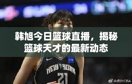 韩旭今日篮球直播，揭秘篮球天才的最新动态