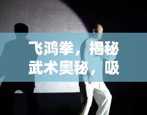 飞鸿拳，揭秘武术奥秘，吸引你的目光！