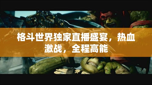 格斗世界独家直播盛宴，热血激战，全程高能