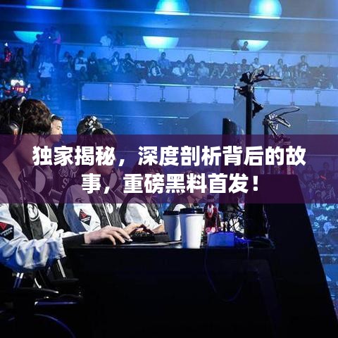 独家揭秘，深度剖析背后的故事，重磅黑料首发！