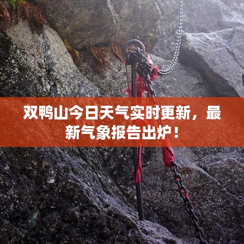 双鸭山今日天气实时更新，最新气象报告出炉！