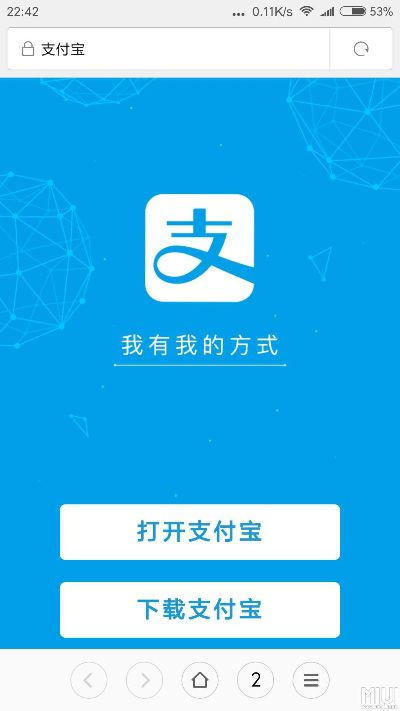 下载支付宝8.6版本,完善系统评估_开发版1_v8.185