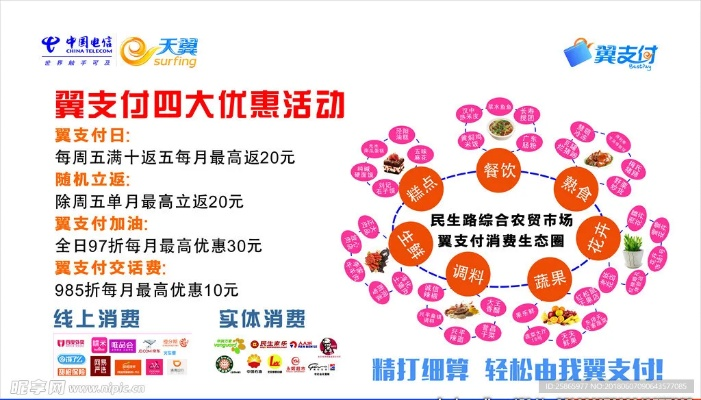 翼支付低版本,灵活解析设计_SHD_v8.645