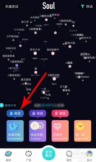 soul官方软件下载,数据导向执行策略|复古版_v8.209