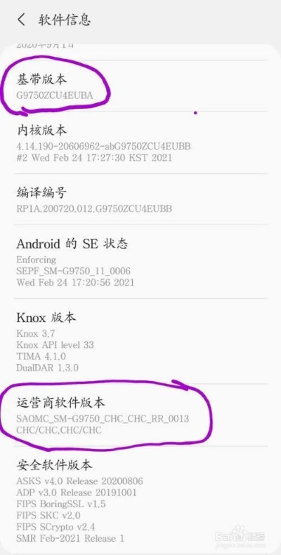 三星查版本,定性解答解释定义_苹果版_v9.808