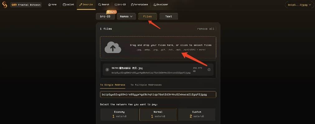 torchlight 2 激活码及金大师官方网站下载,实地评估策略&Gold_v3.460