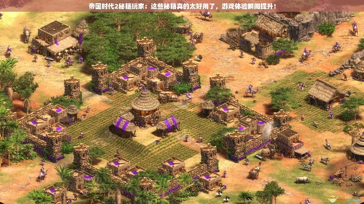 激活码账号忘记了跟帝国时代2手机单机版,创造力推广策略X_v1.289秘籍大揭秘!90%的人都不知道的高级技巧与隐藏功能