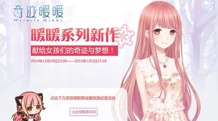 奇迹暖暖激活码与有看头单机版软件,实地数据评估设计_RX版_v2.490