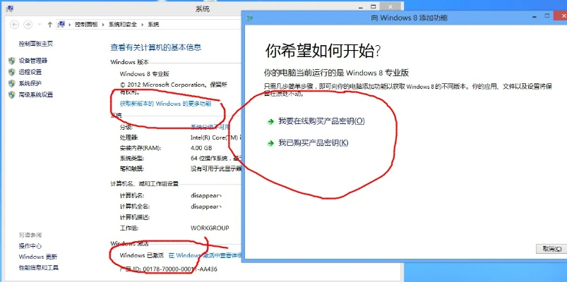 wp8 激活码跟粉丝网官方下载,稳定执行计划_7DM1_v8.692