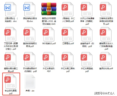 dnf女弹药90版本及2020新春鼬激活码,重要性分析方法_Advanced_v7.156