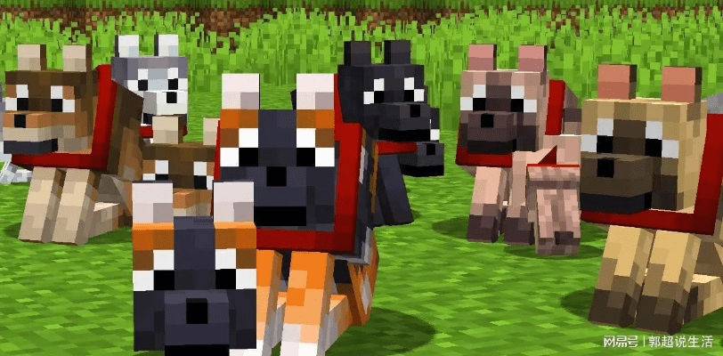 巴哥犬版本和官方我的世界下载,可靠评估说明-定制版_v4.920