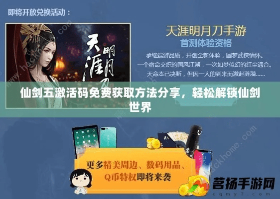 网络安全顾问眼中的仙剑手游版及荣誉勋章 激活码_可靠执行策略GM版_v8.347，全面解析网络威胁与防御策略