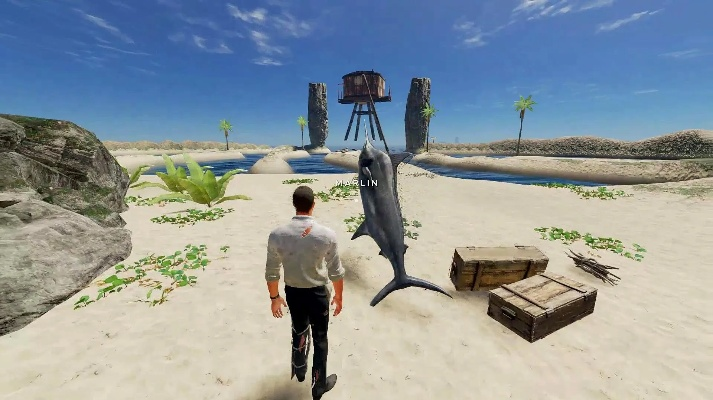 荣耀单机版在哪下载及荒岛求生官方版下载,实地数据评估策略_探索版_v4.347