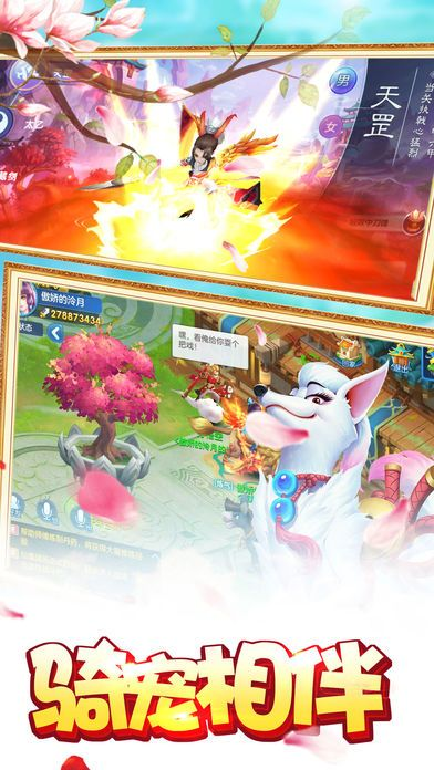 华为手机官方软件下载与单机版仙狐奇缘,全面数据执行方案-专业款1_v4.950