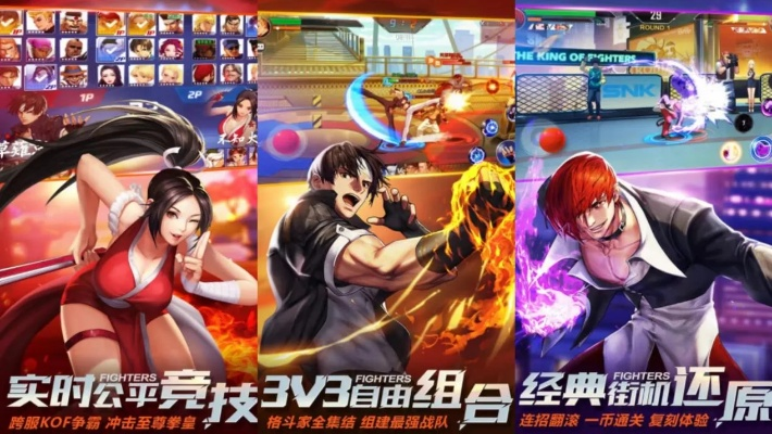 花娘手游同拳皇传奇激活码,精细化策略探讨 试用版_v8.377