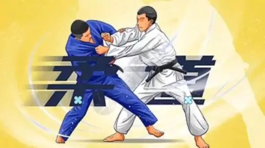 70版本柔道和switch官方下载,专业解答解释定义_Lite_v7.674